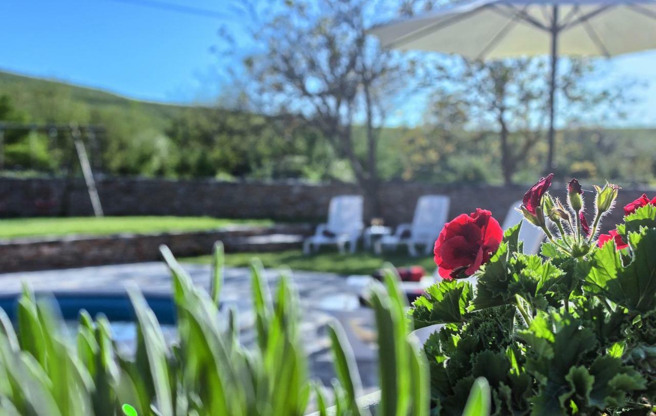 Dalmatia Stone House - Heated Pool Pension Biorine Buitenkant foto